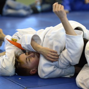 Всероссийский турнир по дзюдо памяти П.И. Сумина-2014, фото А. Ткаченко-2