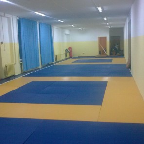 Секцию дзюдо выселяют из челябинской школы-3