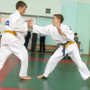 ХIV традиционное лично-командное первенство по дзюдо в Усть-Катаве, посвящённое Дню вывода советских войск из Афганистана. Фото 3.