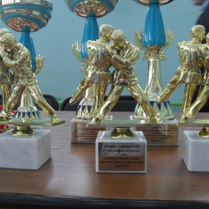 ХIV традиционное лично-командное первенство по дзюдо в Усть-Катаве, посвящённое Дню вывода советских войск из Афганистана. Фото 8.