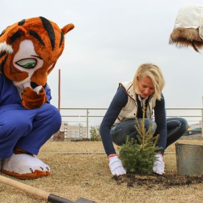 "Зелёная" акция с талисманом ЧМ-2014 по дзюдо тигрёнком Жориком - 8