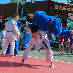 100 дней до начала чемпионата мира по дзюдо в Челябинске, фото Виталия Визаулина - 7