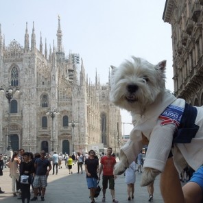 Челябинский пес-поклонник дзюдо путешествует в кимоно по Италии-2