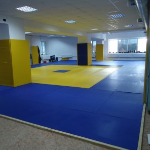 В Челябинске торжественно откроют спортзал и Центр борьбы самбо имени Александра Брюханова - 4