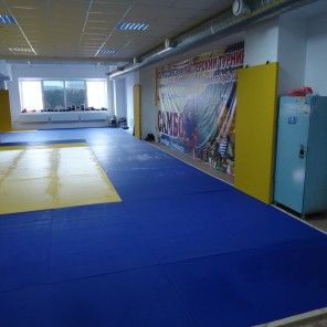 В Челябинске торжественно откроют спортзал и Центр борьбы самбо имени Александра Брюханова - 5