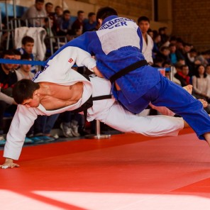 Кубок губернатора Челябинской области по дзюдо-2015, фото Евгения Ширягина - 11