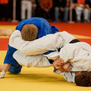 Кубок губернатора Челябинской области по дзюдо-2015, фото Евгения Ширягина - 22