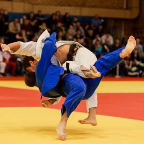 Кубок губернатора Челябинской области по дзюдо-2015, фото Евгения Ширягина - 25