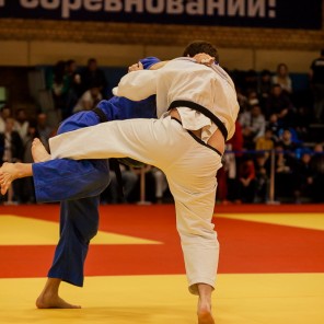 Кубок губернатора Челябинской области по дзюдо-2015, фото Евгения Ширягина - 36