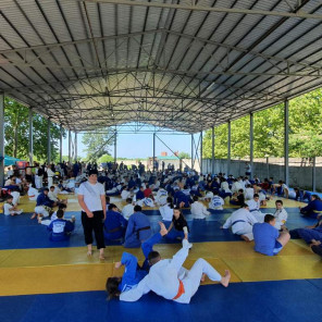 Южный сбор - 5