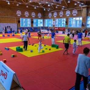 Семья чемпионов - 1