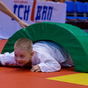 Семья чемпионов - 10